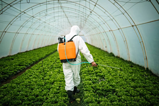 Best Commercial Pest Control Services  in West Liberty, IA