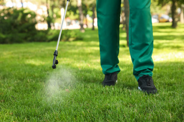 Best Bed Bug Extermination  in West Liberty, IA