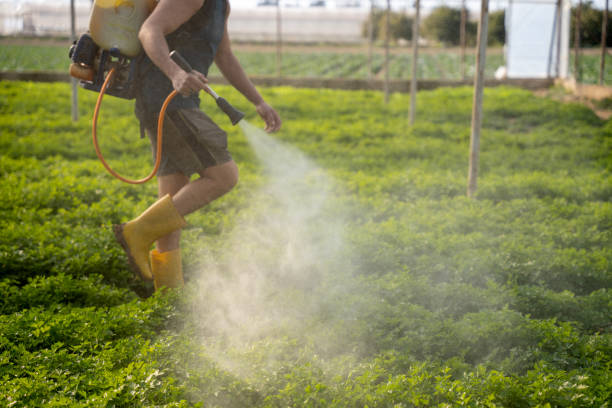 Best Ant Control Services  in West Liberty, IA
